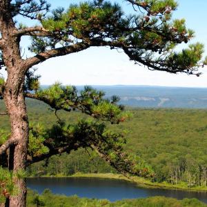 Kittatinny Mountains. Photo by Dan Balogh.