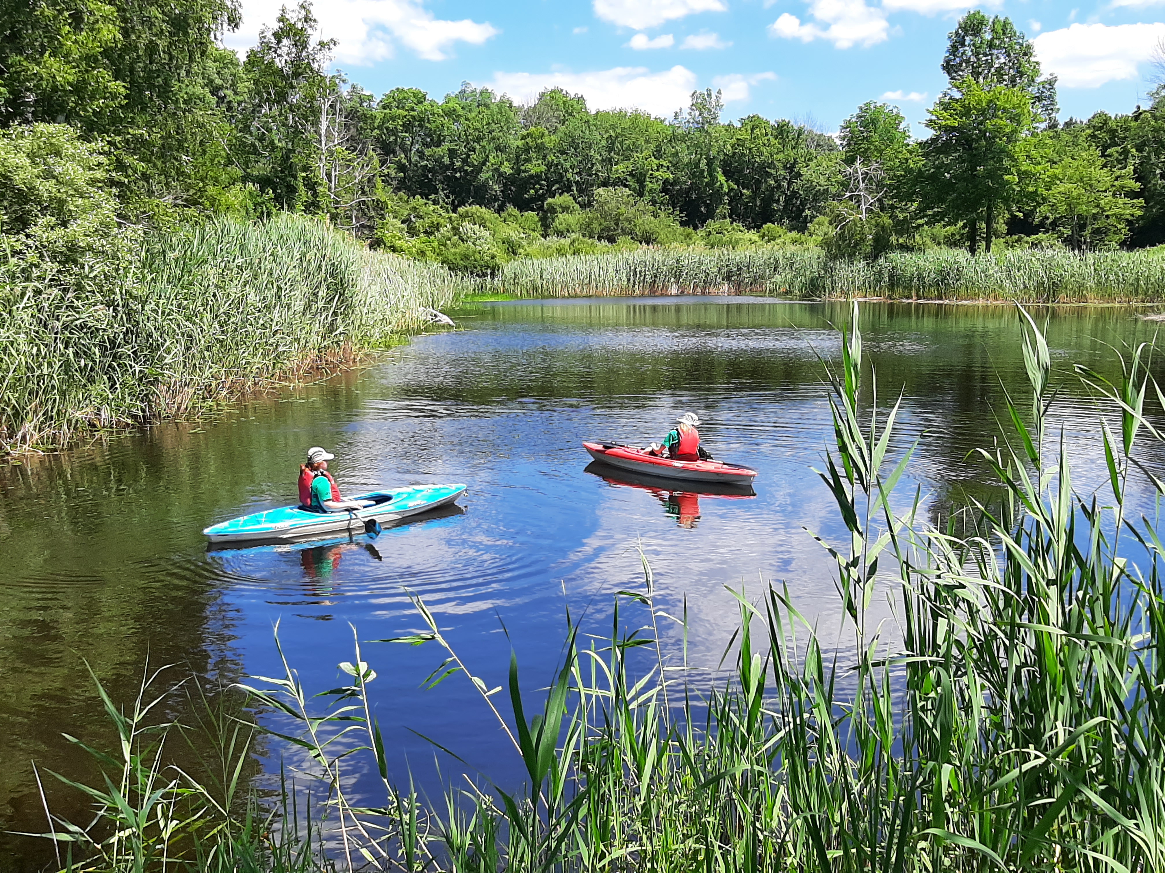 Kayak Survey conducted by the Aquatic Invasives Strike Force. Photo by Maya Thompson.